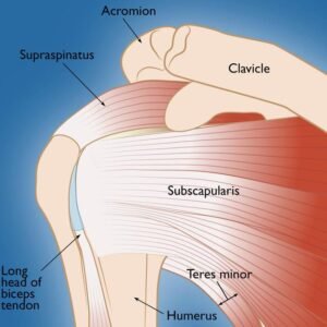 Rotator Cuff Injury Physiotherapy